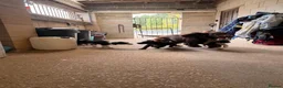 Sprocker dogs for sale: Sprocker pups available  - Advert 2
