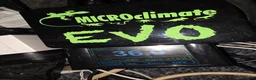 Bearded Dragon reptiles for sale: Orange Bearded Dragon with Complete 4ft Setup in Bolton - Advert 4