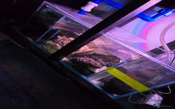 Other/Mixed Breed fish for sale: Aqua one 400 full set up plus more  - Image 6