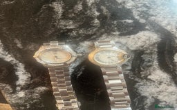 Persian cats for sale: Seal Colourpoint Persian Kittens - Image 15