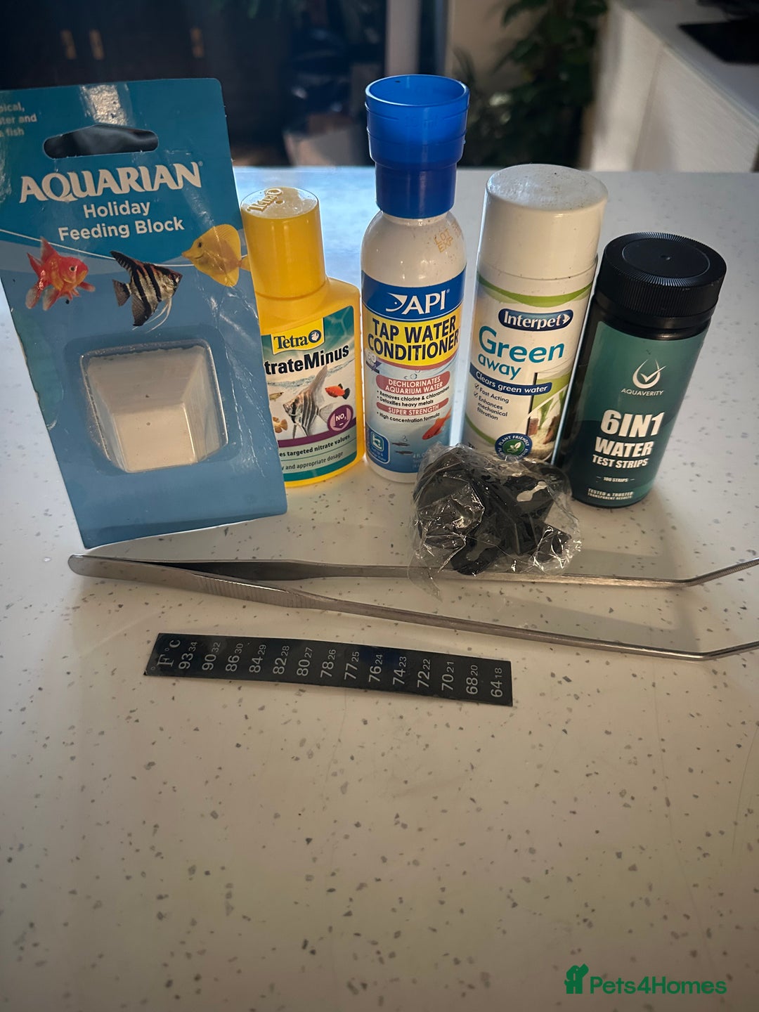 Angelfish fish for sale: Fish tank starter kit - Advert 9