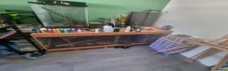 Boa Snake reptiles for sale: Boa constrictor - Advert 3