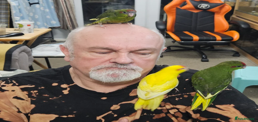 Gallery Image {{count}}