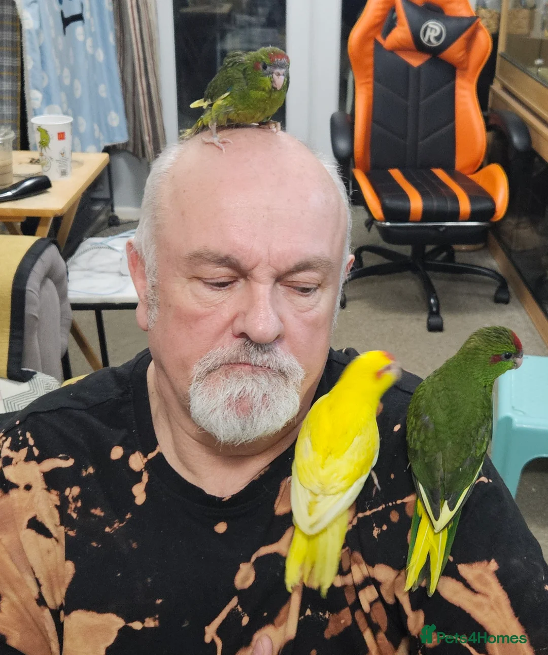 Gallery Image {{count}}