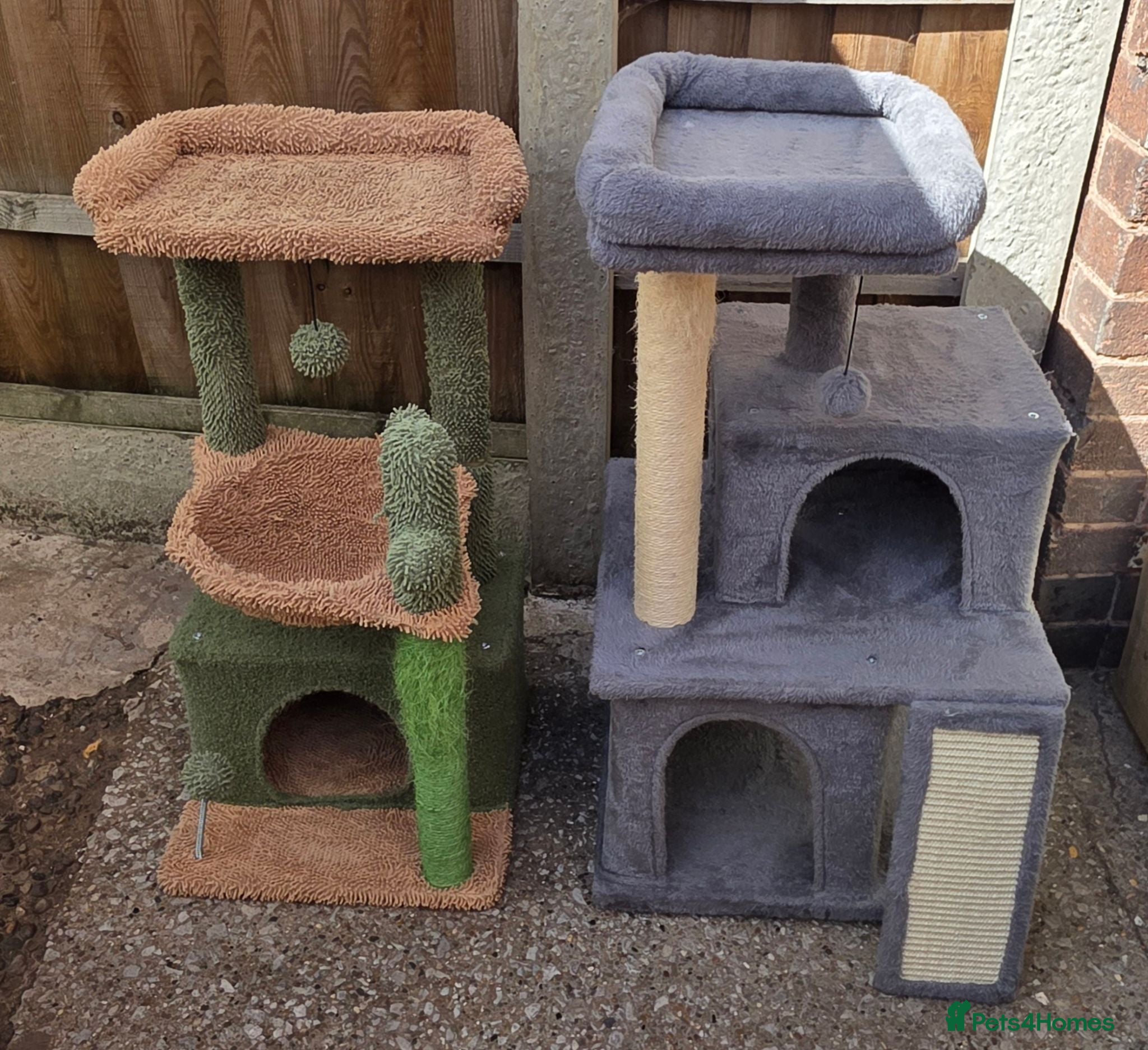 Mixed Breed cats Job lot of cat accessories  - Advert 2
