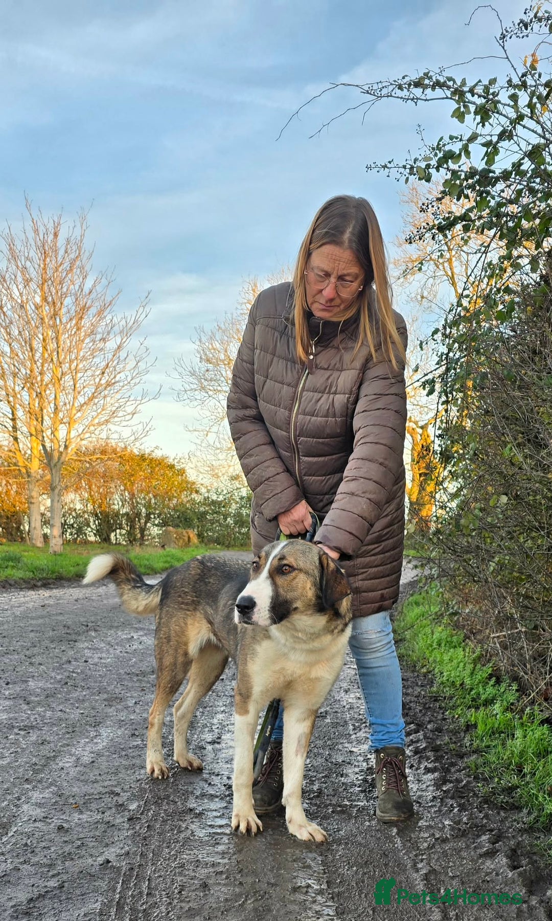 Mixed Breed dogs for adoption: BLANCA - Advert 10