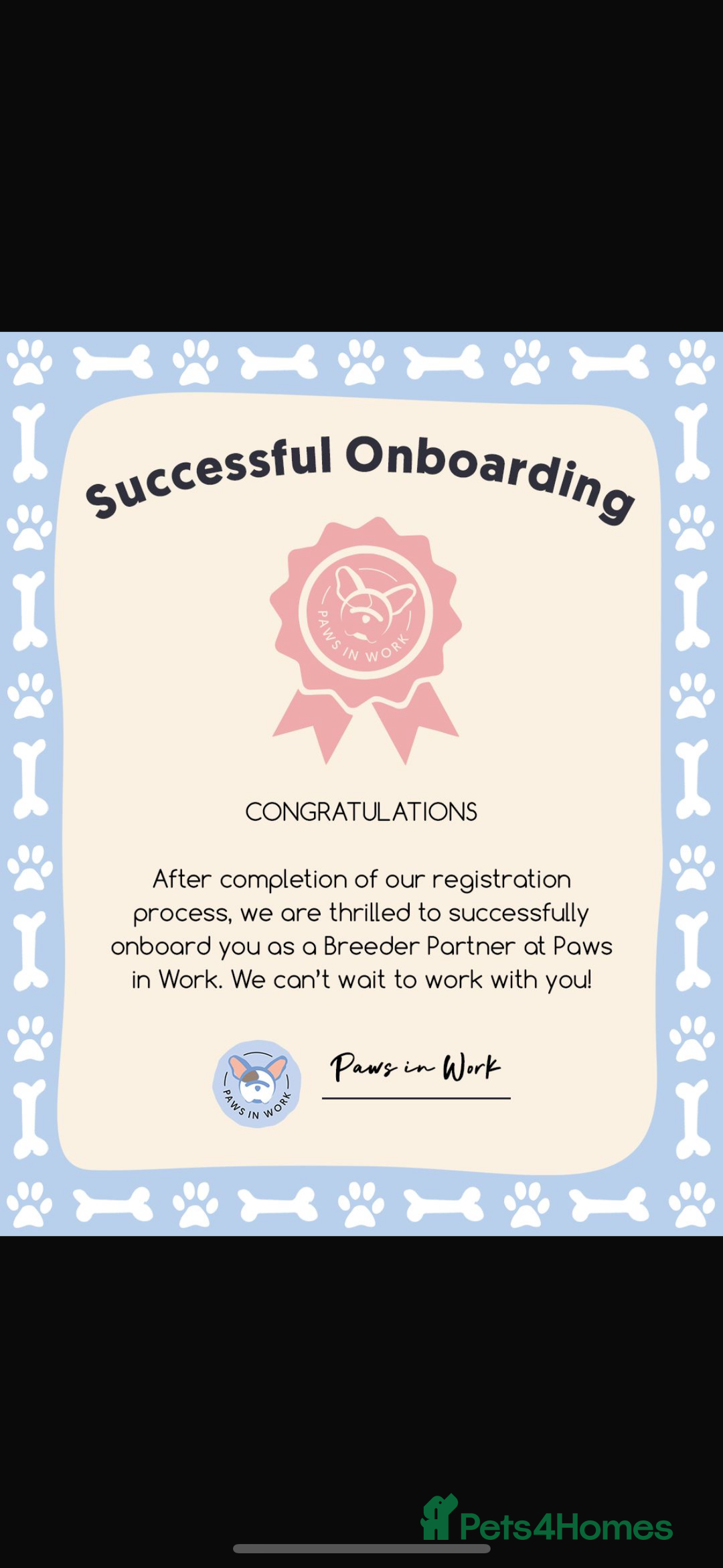 Cockapoo dogs for sale: 🐾STUNNING F1 COCKERPOOS HEALTH TESTED PARENTS 🐾 - Image 29
