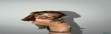Woody 