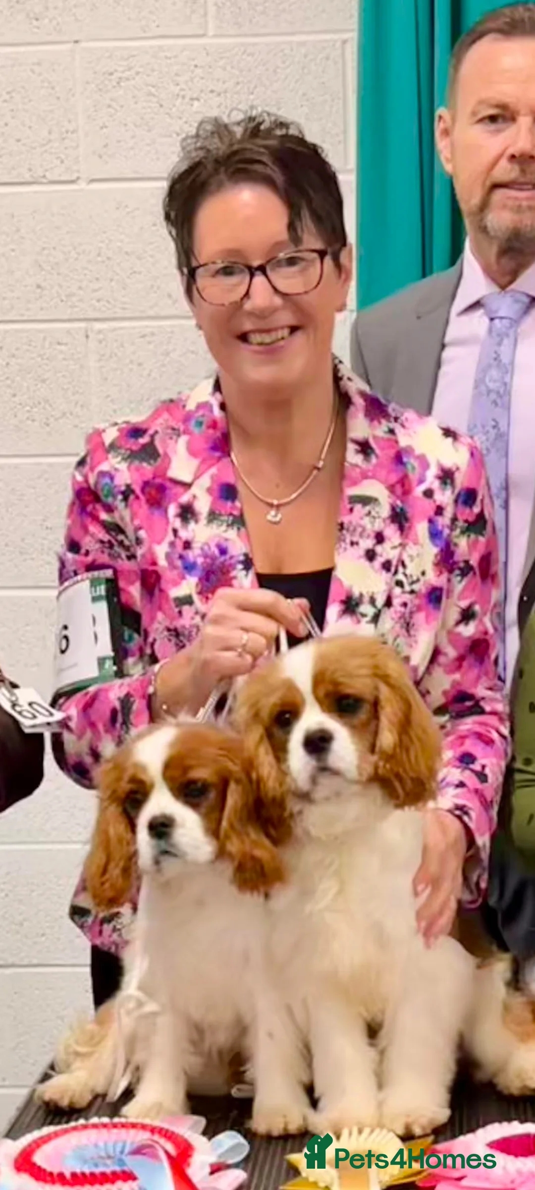 Gallery Image {{count}}