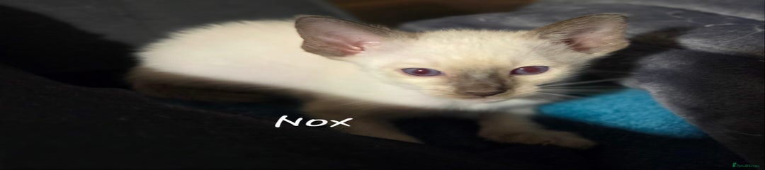 Nox