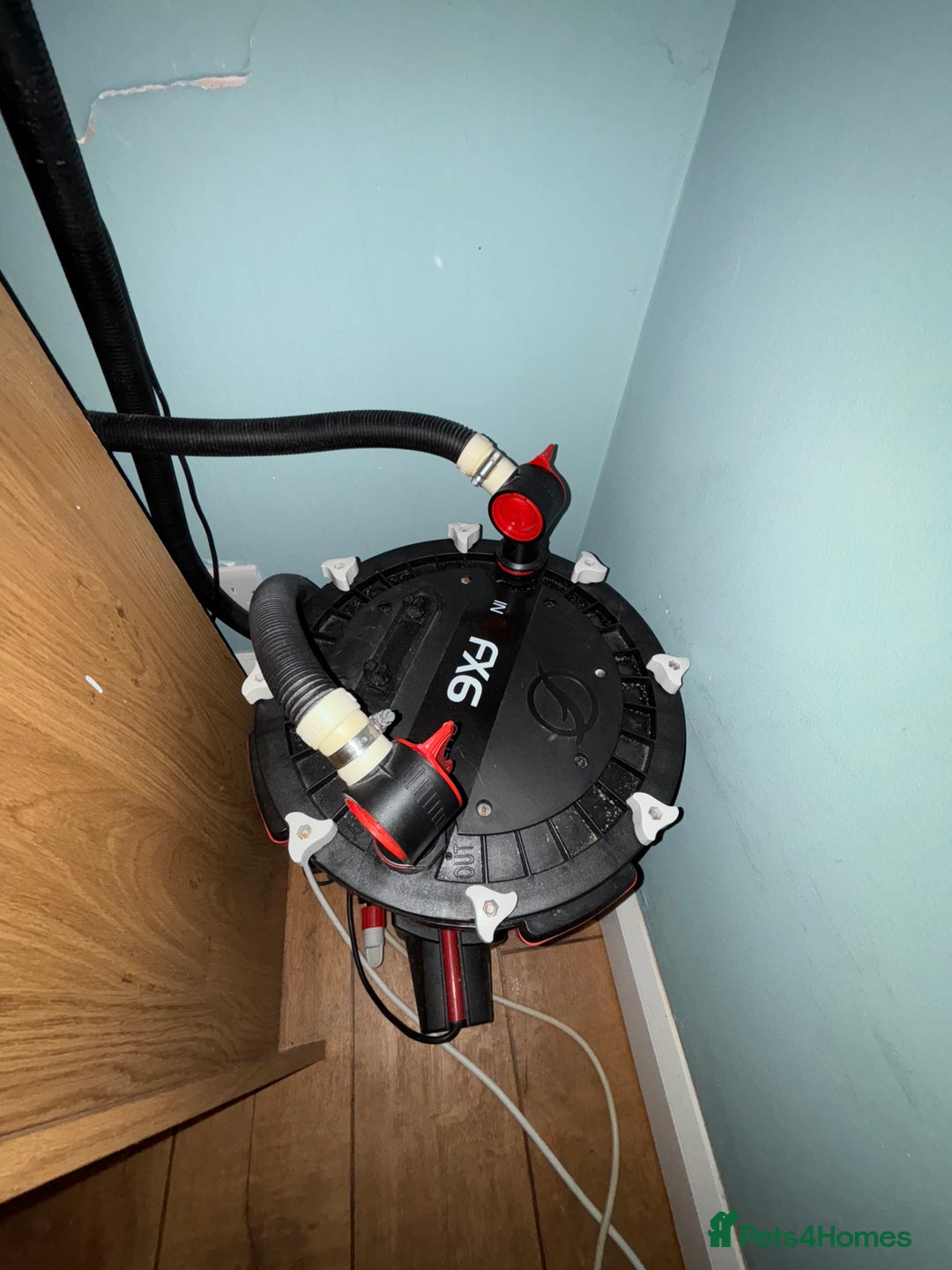 Other/Mixed Breed fish for sale: Marine Tank and Full Set Up  - Image 7