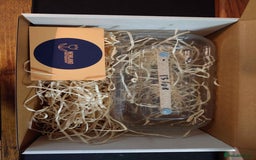 Praying Mantis invertebrates for sale: Ghost Mantis (phyllocrania paradoxa) ootheca - Image 8
