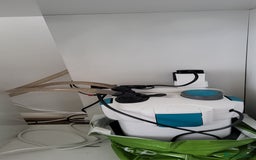 Tetras fish for sale: Fish Tank (200L) - Image 16