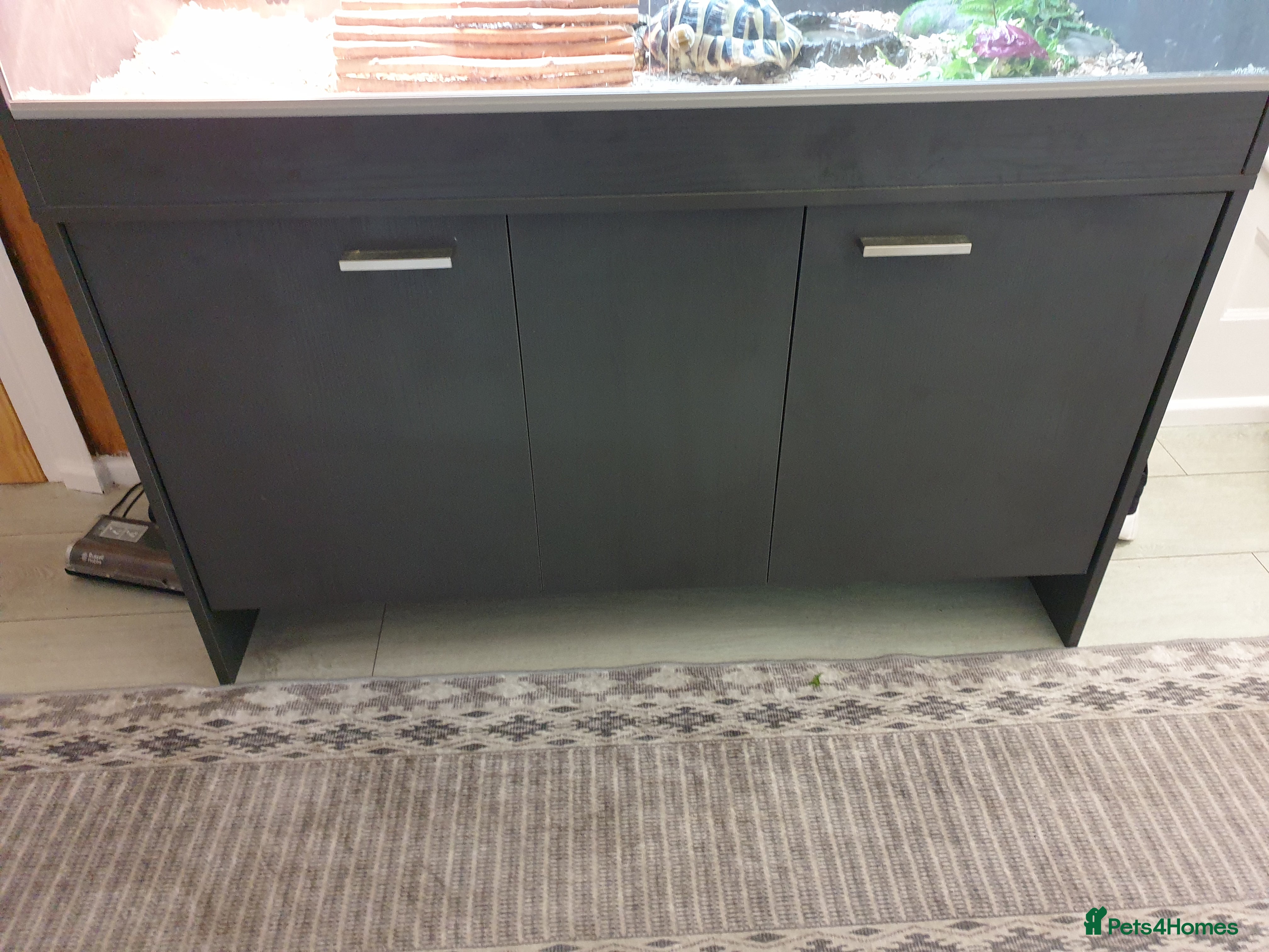 Hermann Tortoise reptiles Hermann tortoise and vivarium for sale  in Abergele - Advert 1