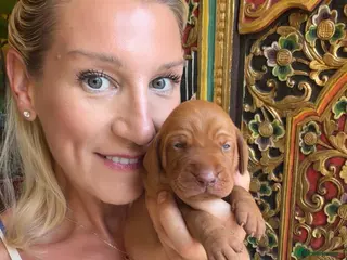 Hungarian Vizsla dogs New KC REG Hungarian Vizsla Beautifully Bred, - Advert 6