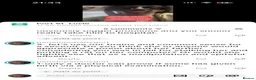 Mixed Breed cats for sale: Ragdoll crosses  - Advert 8