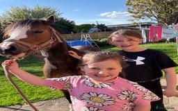 Welsh Section A horses for sale: Kids pony  - Image 3