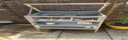 Mixed Breed rodents for sale: PawHut Wooden 3-Tier Hamster Small Animal Cage - Advert 2