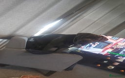 Cane Corso dogs for stud: Enzo perfect stud - Image 2