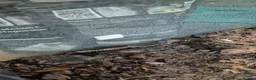 Skink reptiles for sale: Juvenile Fire Skinks  in Aldershot - Advert 3