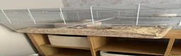Gerbil rodents for sale: Two gerbils with cage  - Advert 6