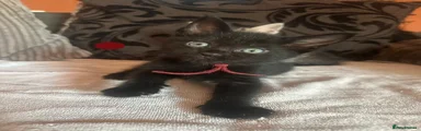 George