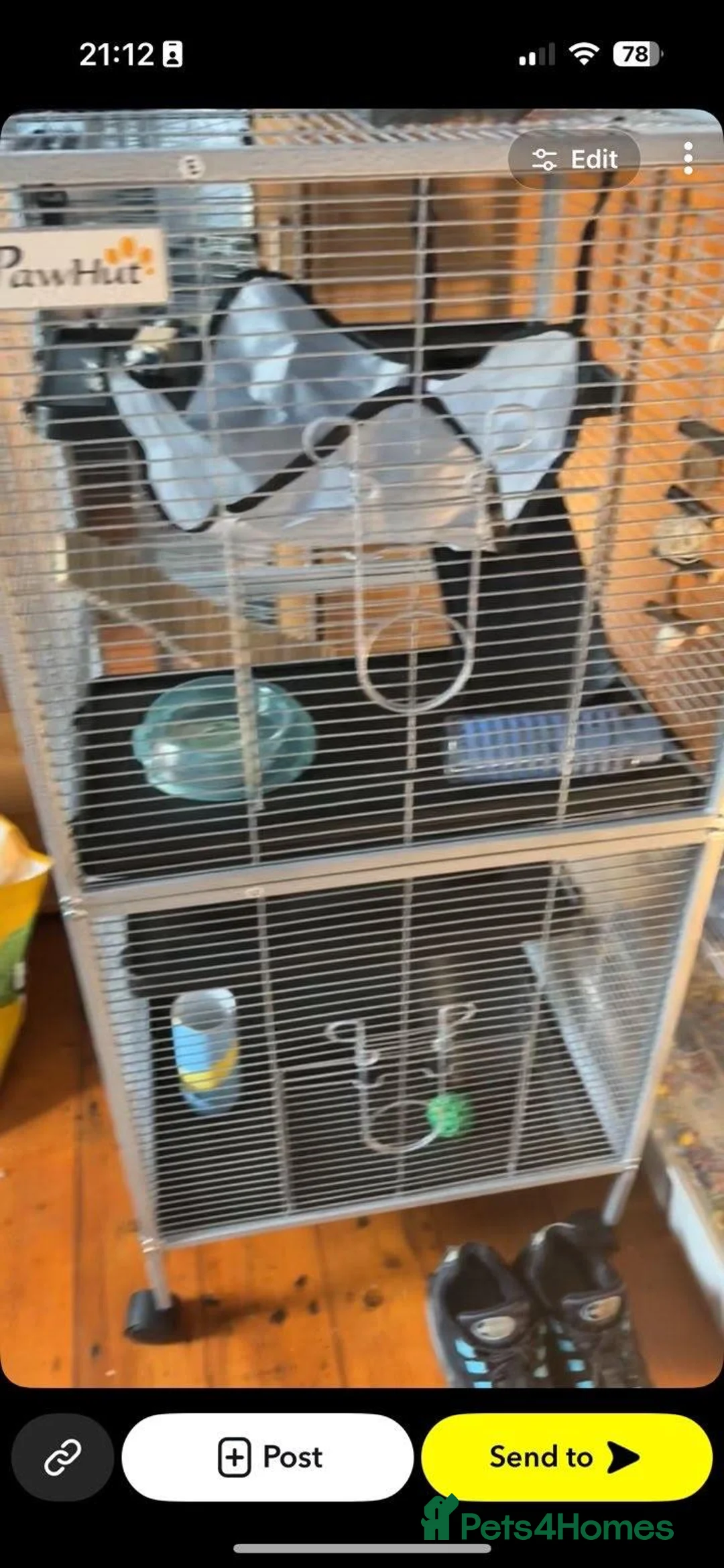 Rat rodents for sale: 2 female rats and cage  - Advert 1