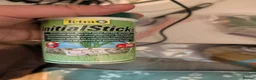 Tetras fish for sale: Well Established Fluval Fish Tank in Runcorn - Advert 29