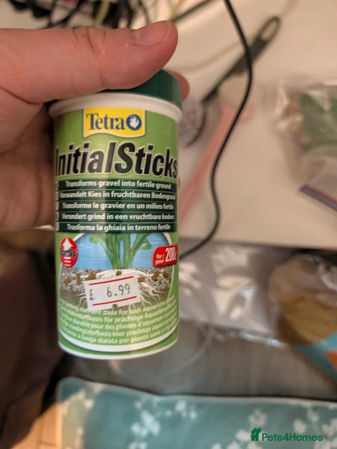 Tetras fish for sale: Well Established Fluval Fish Tank in Runcorn - Advert 29