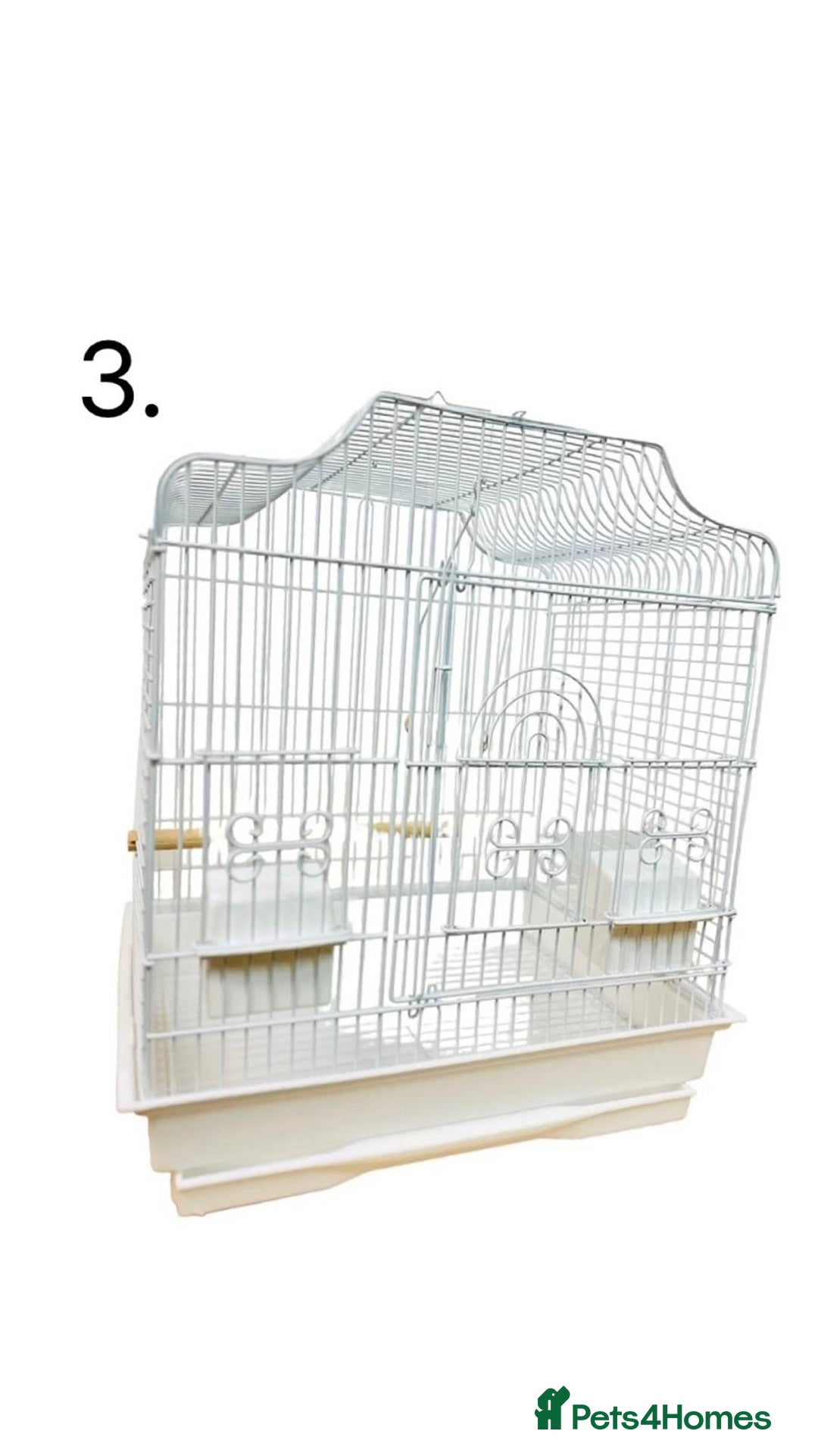 Budgerigars birds for sale: Budgies for sale, all in good health - Advert 20