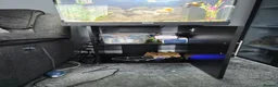 Fancy Goldfish fish for sale: 120 litre juwel tank with 2 fancy goldfish  - Advert 9