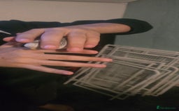 Budgerigars birds for sale: Mixed birds - Advert 8