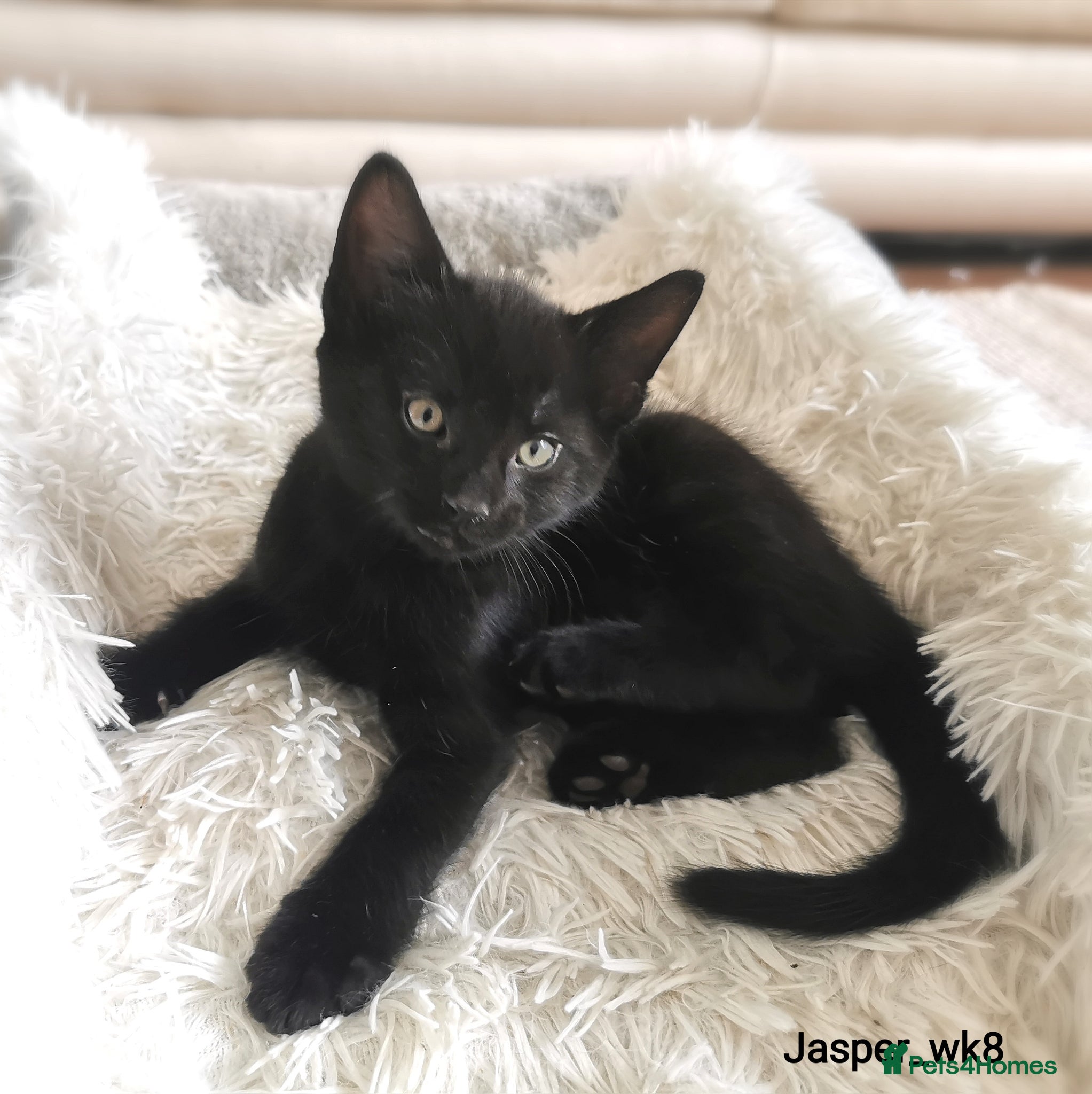 Onyx