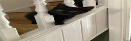 Mixed Breed cats for sale: Playful kittens - Advert 10