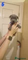 Staffordshire Bull Terrier Puppy 6
