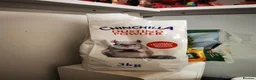 Chinchilla rodents for sale: Two female chinchillas with Cage in Lincoln - Advert 6