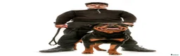 Rottweiler dogs for sale: Stunning litter of Rotweillers from family pet  in Wolverhampton - Advert 6