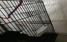 Budgerigars birds for sale: 2 budgies and cage - Image 8