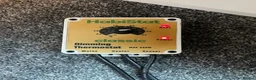 Bearded Dragon reptiles for sale: Bearded dragon complete with full set up in Romford - Advert 5