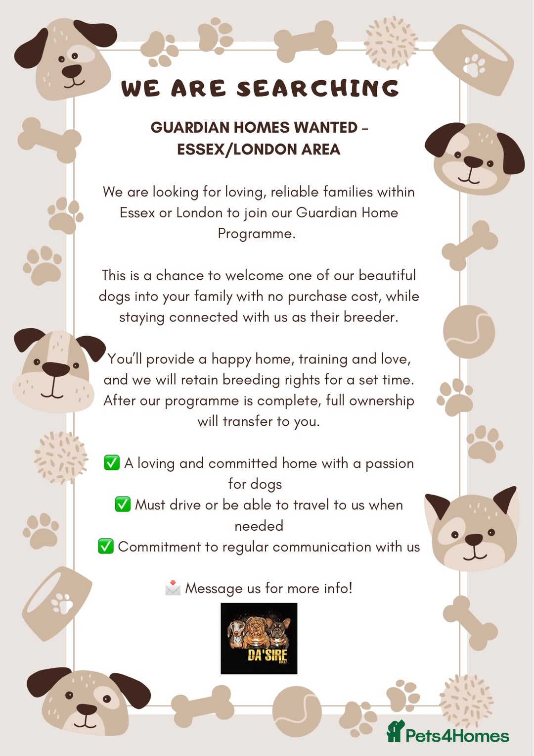 English Bulldog dogs for stud: 🚨 REDUCED!! EPIC BULLYZ VENOM - BENCHPRESS SON 🚨 in Basildon - Advert 7