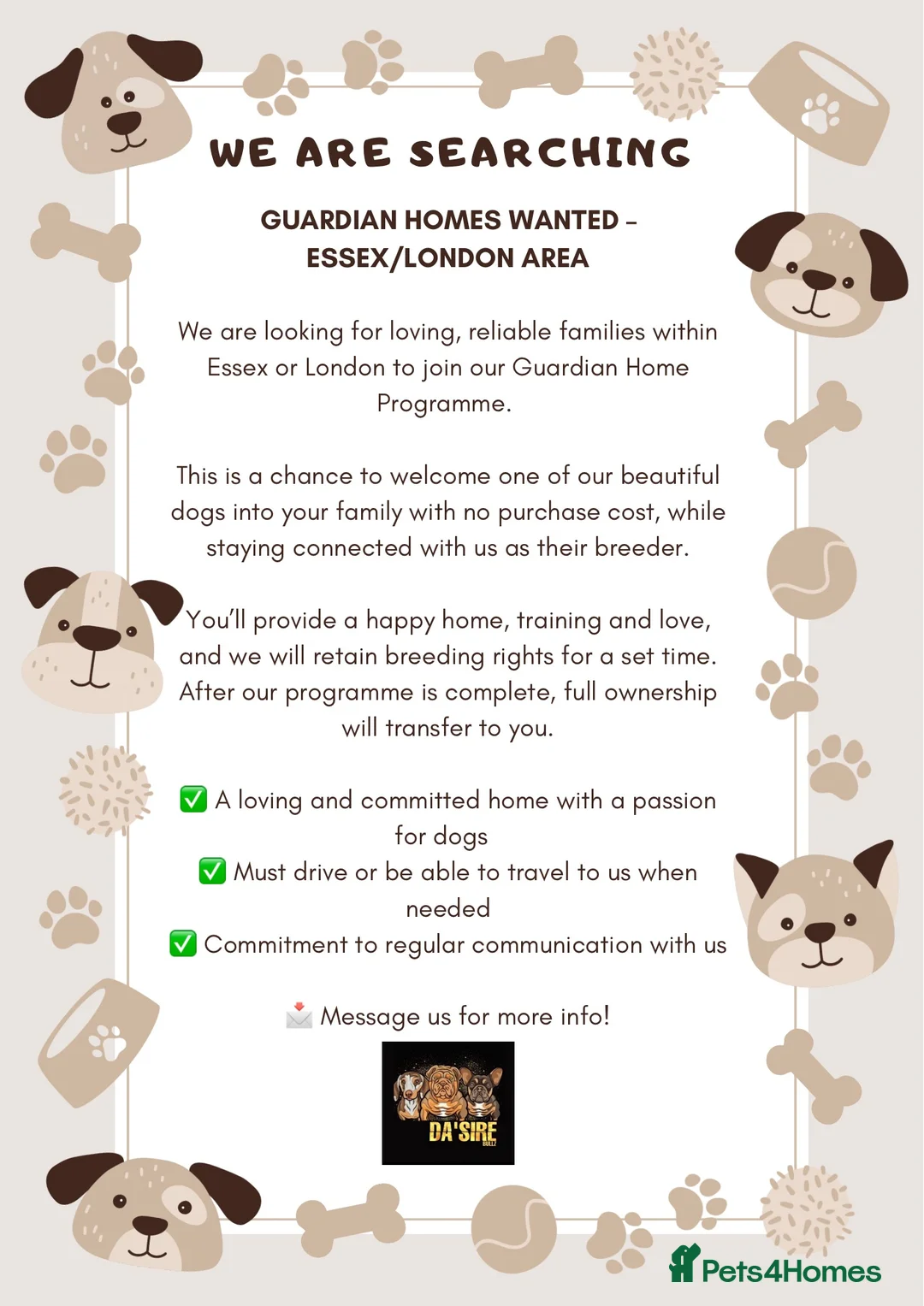 English Bulldog dogs for stud: 🚨 REDUCED!! EPIC BULLYZ VENOM - BENCHPRESS SON 🚨 in Basildon - Advert 7