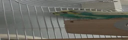 Budgerigars birds for sale: 8 Budgies and a pair of Lovebirds  - Advert 1