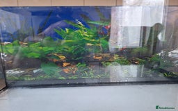 Other/Mixed Breed fish for sale: 60ltr Fishtank with Accessories Only - Image 3