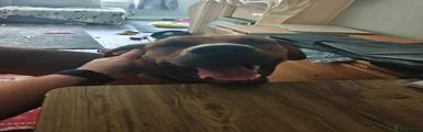 Kobie