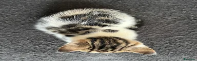 Female 2