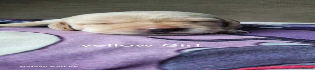 Yellow Girl