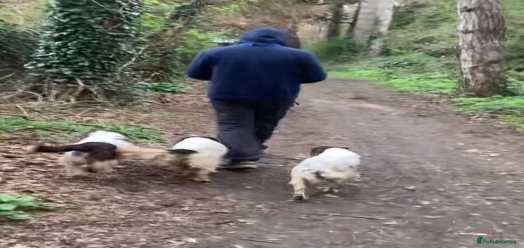 Gallery Image {{count}}