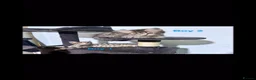 Savannah cats for sale: Gorgeous savannah kittens 2 boys left in Aylesbury - Advert 5
