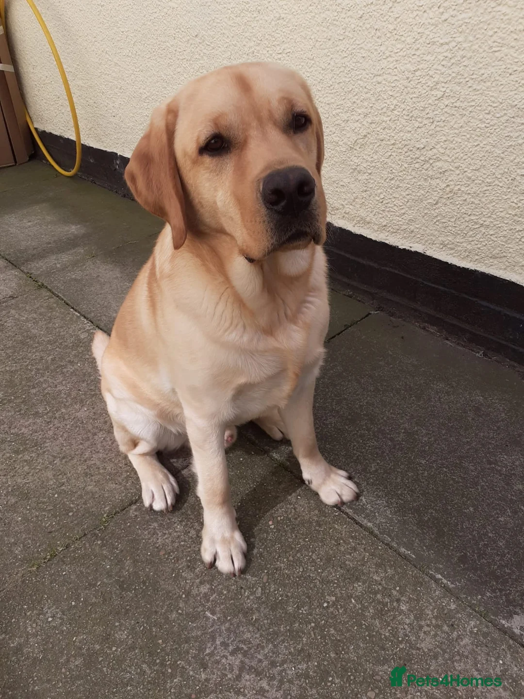 Gallery Image {{count}}