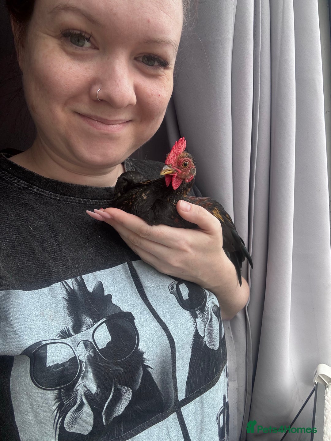 Gallery Image {{count}}